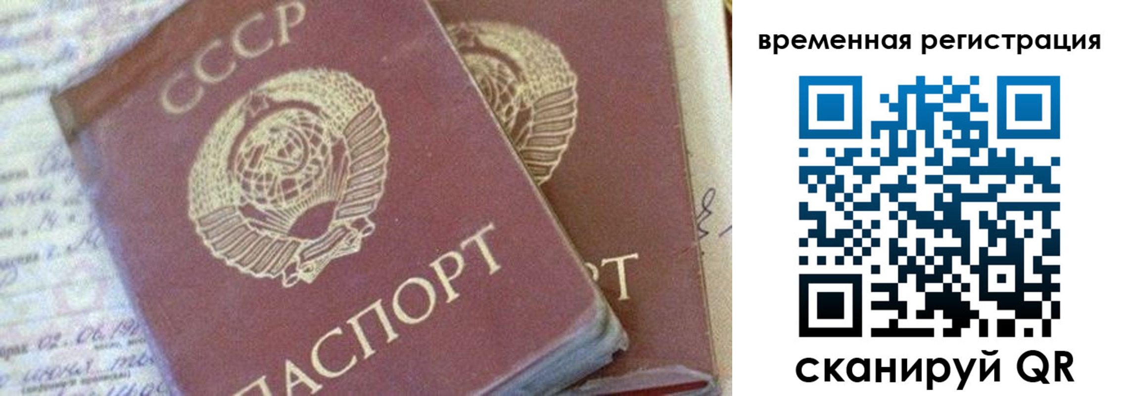 где прописаться в Ельце